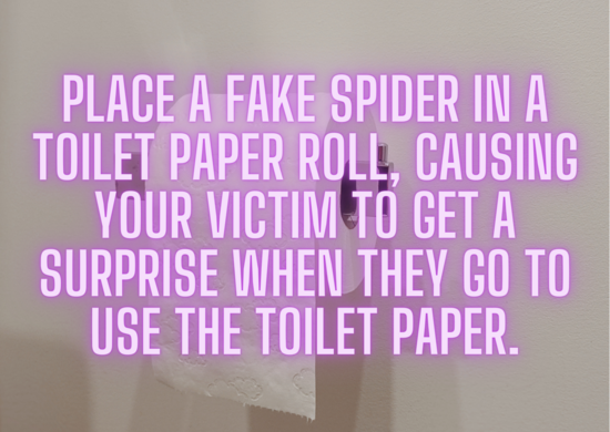20 Short April Fool Pranks That Will Make You Look Like A Prankster Pro 6 Place a fake spider in a toilet