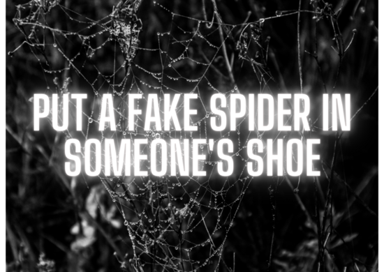 20 Short April Fool Pranks That Will Make You Look Like A Prankster Pro 10 Put a fake spider in someone's s