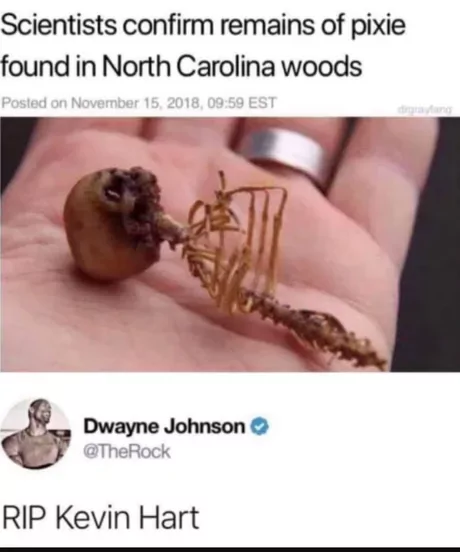 25 Kevin Hart Memes That Will Make You Laugh Your Heart Out 12 Scientists confirm - Kevin hart memes