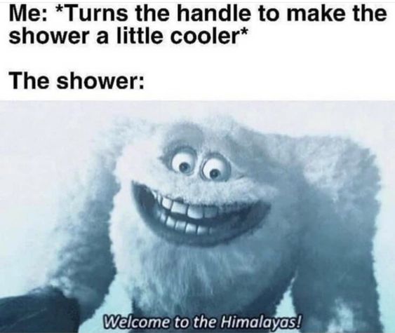 When Life Gives You Lemons, Make A Meme: 25 Memes to Cope with Adversity 12 Shower a little cooler
