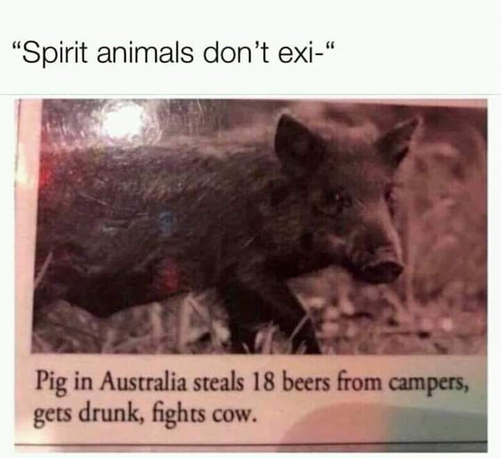 25 Hilarious Drinking Memes That Will Make You Say "Cheers!" 13 Spirit animals dont exist