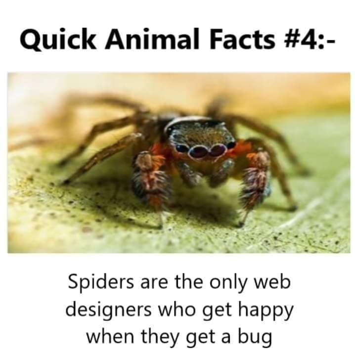 The Only Happy Web Designers 1 Web designer memes