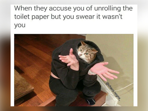 Unrolling the toilet paper - FG