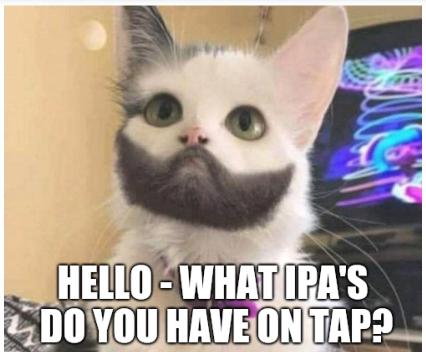 25 Hilarious Drinking Memes That Will Make You Say "Cheers!" 17 What IPAs do you have on tap