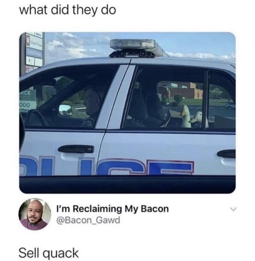 Duck arrested meme