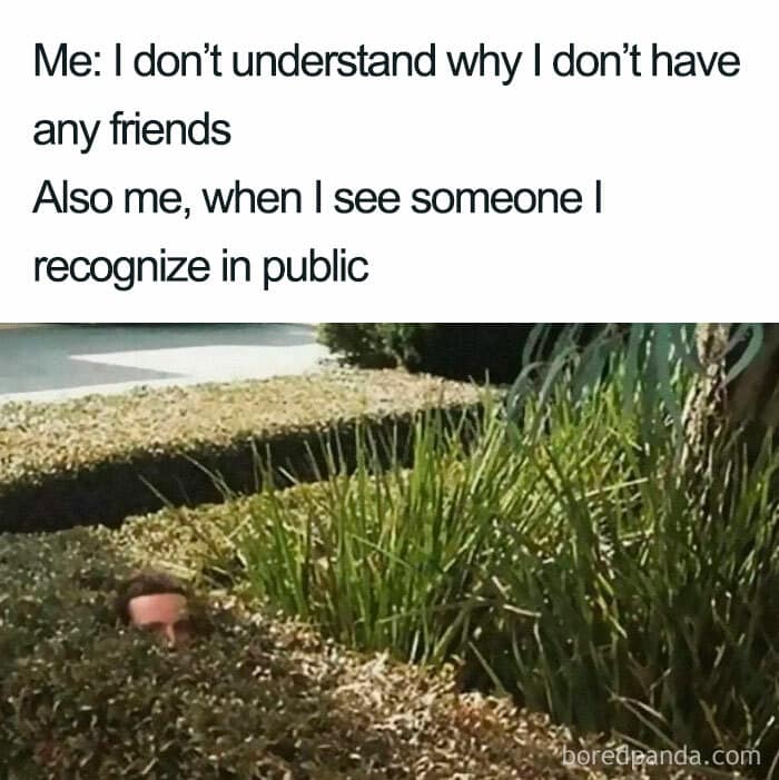 25 Introvert Memes That Celebrate The Quiet Life - Funny