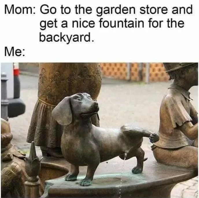 When Mom Tells You To Get A Nice Fountain 1 Dog fountain meme