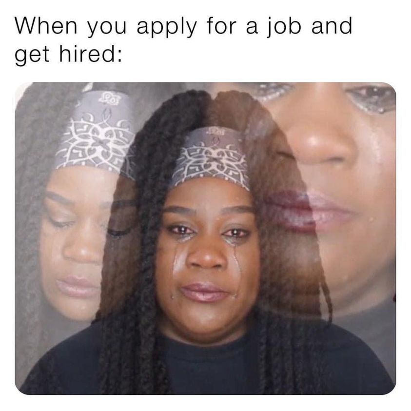 When You Apply For A Job And Get Hired 1 Hired memes