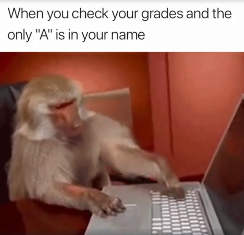 When You Check Your Grades… 1 Grades memes