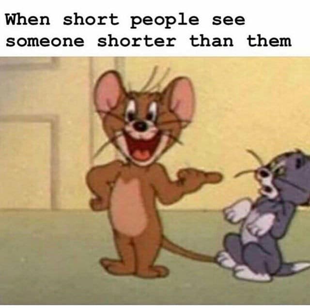 21 Short People Memes That Perfectly Capture the Struggles of Being Vertically Challenged 16 When short people see someone shorter than them - short people memes