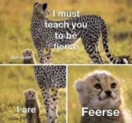 Fierce meme