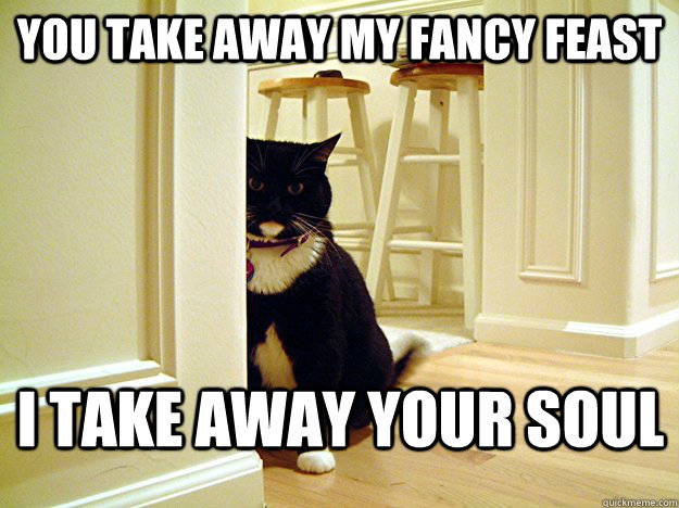 20 Images That Show Chances Of You Getting Killed By A Cat Are Low, But Never Zero 16 You takeaway my feast - getting killed by a cat