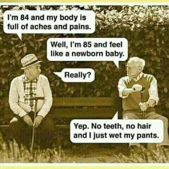 15 Fun Memes That Will Entertain Your Mind & Soul 6 im 84 and my body is in pain - fun memes