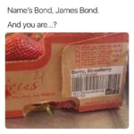 James bond memes