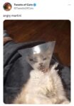 Angry Martini