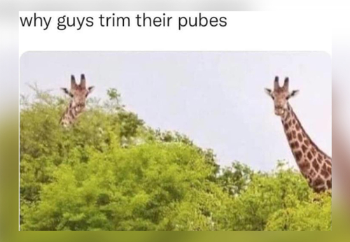 25 Barley Awake Memes That Will Make You Laugh Through The Yawns Funny 25 Barley Awake Memes That Will Make You Laugh Through The Yawns Funny