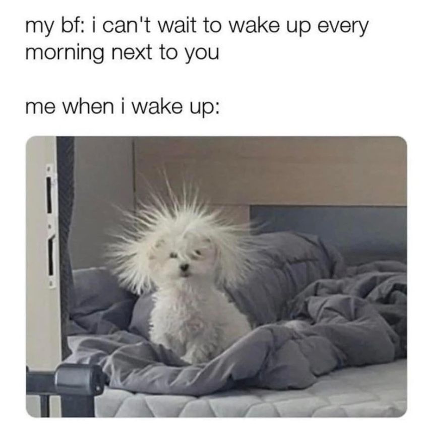 wake up every morning next to you meme