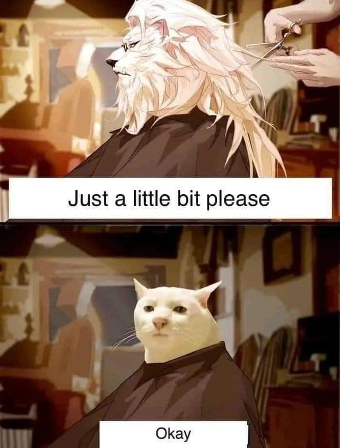 Before And After A Haircut 1 Before And After A Haircut Meme