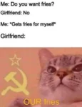 fries memes