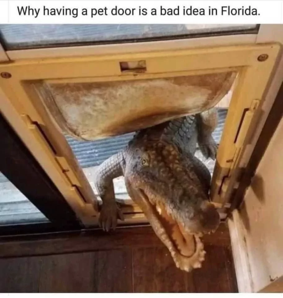 Crocodile memes