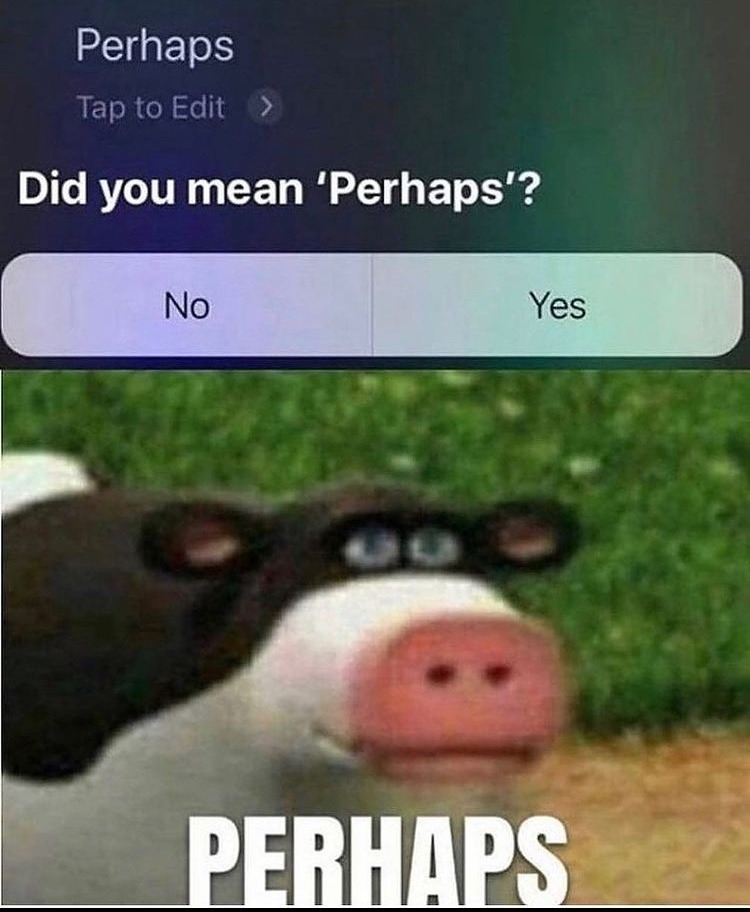 27 Hey Siri Memes That Will Make You Wish You Had A Personal Assistant 3 Did you mean perhaps
