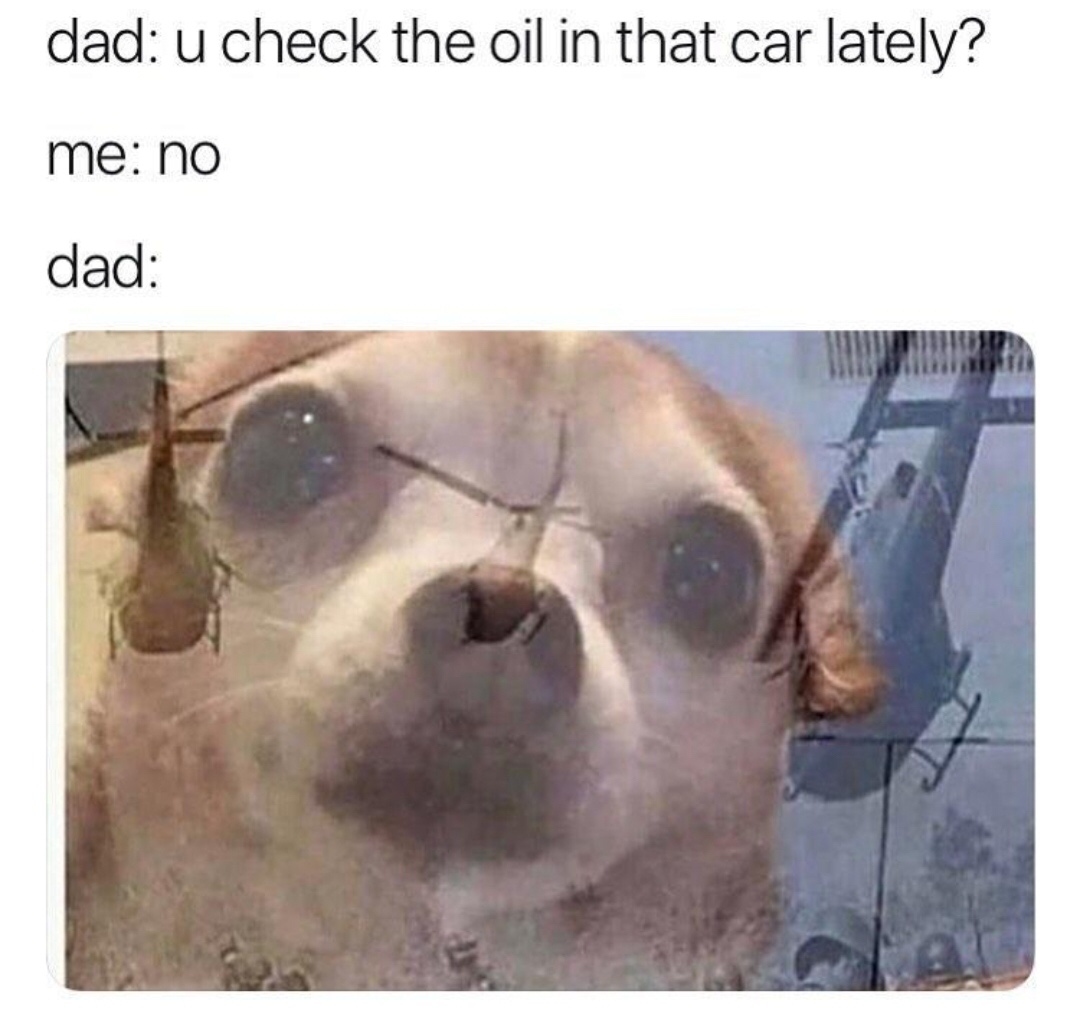 35 Memes That'll Make You Forget About Your Dying Phone! 8 Did yu check the oil in car