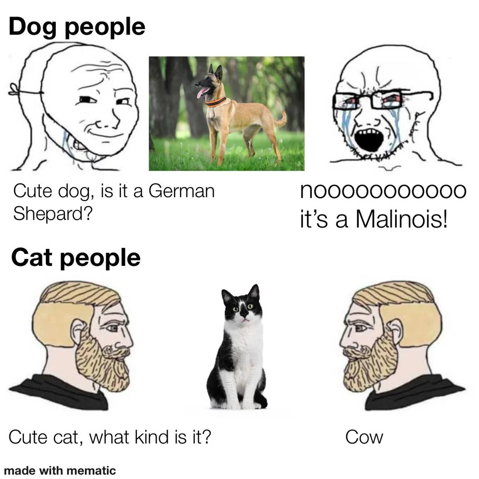 18 Dog vs Cat Memes That Will Make You Laugh & Pick a Side 3 Dog people vs cat people - dog vs cat memes