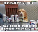 dog memes
