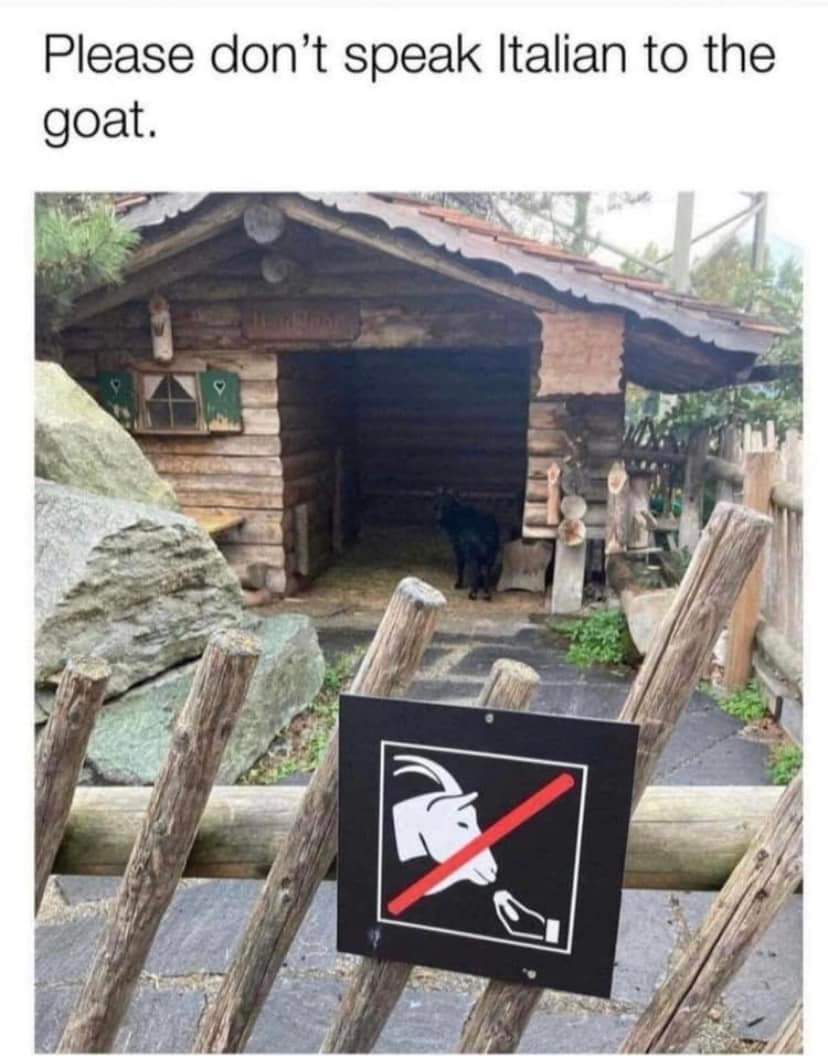25 Goat Memes That Will Make You Go 'Bahahaha! 3 Dont speak italian to goat - goat memes