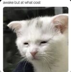 awake at what cost meme