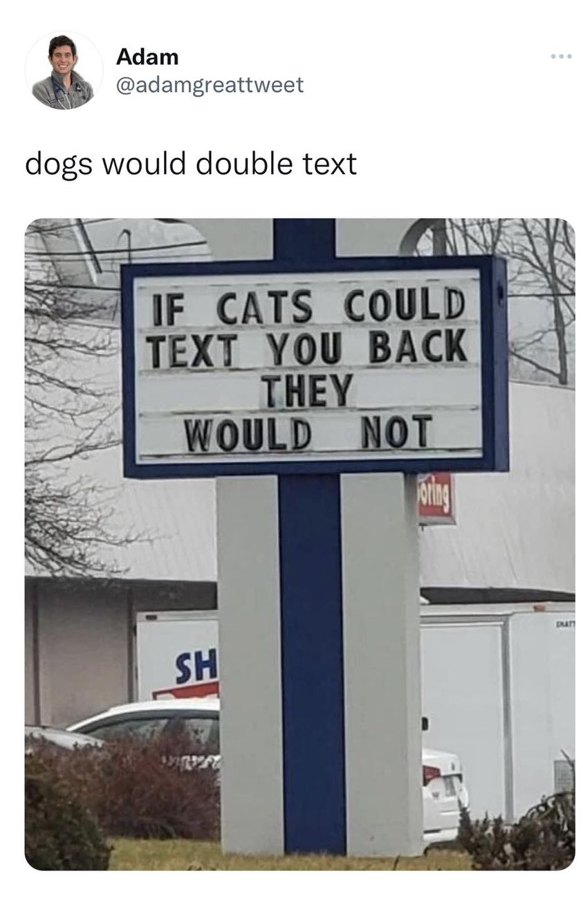 Except When Their Food Bowl Is Empty 1 cats could text meme