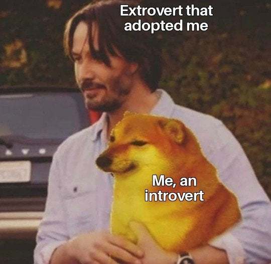 20 Memes That Show What Happens When An Extrovert Meets An Introvert 3 Extrovert that adopted me - Extrovert Meets An Introvert