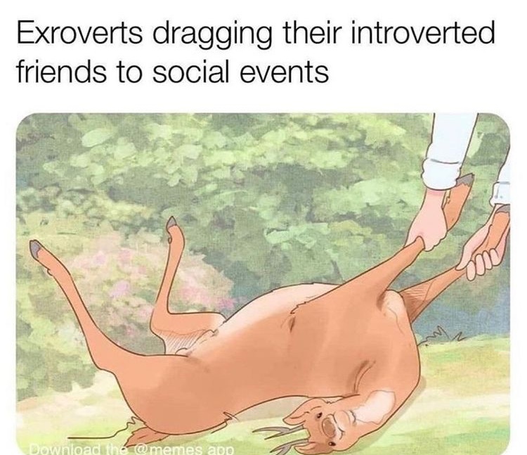 20 Memes That Show What Happens When An Extrovert Meets An Introvert 5 Extroverts dragging their introvert friend