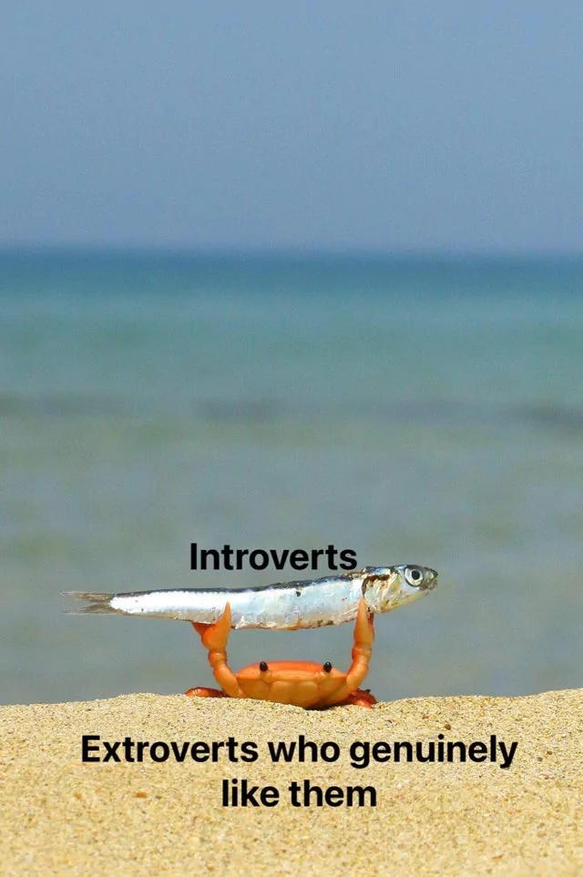 20 Memes That Show What Happens When An Extrovert Meets An Introvert 6 Extroverts who genuinely ike them - Extrovert Meets An Introvert