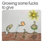 growing flowers meme