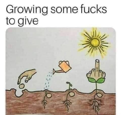 growing flowers meme

