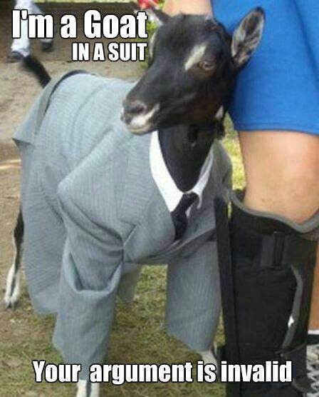 25 Goat Memes That Will Make You Go 'Bahahaha! 4 Goat in a suit - Goat memes