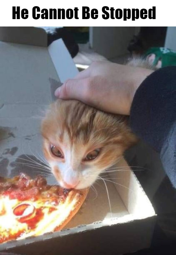He Cannnot Be Stopped