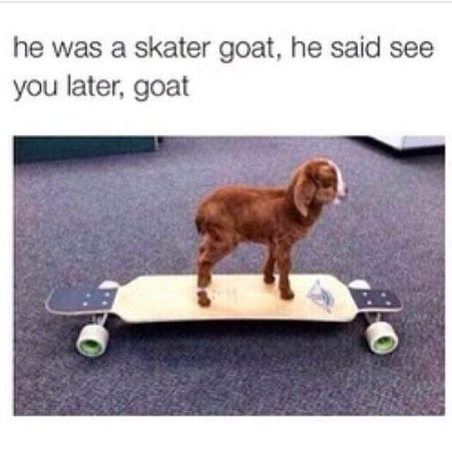 25 Goat Memes That Will Make You Go 'Bahahaha! 6 He was a skater goat - Goat memes
