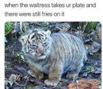 How Dare She…
