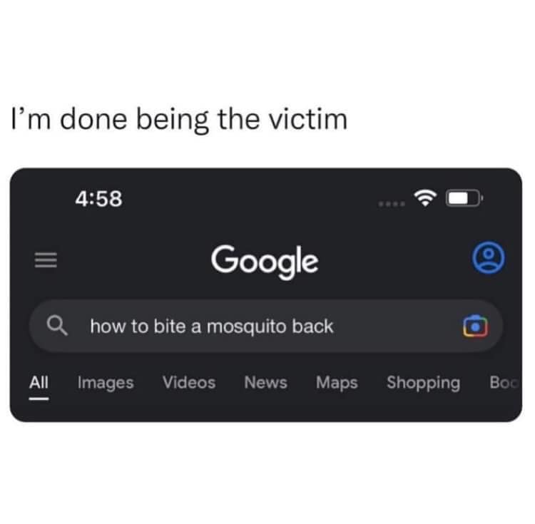Im Done Being A Victim 1 mosquito memes
