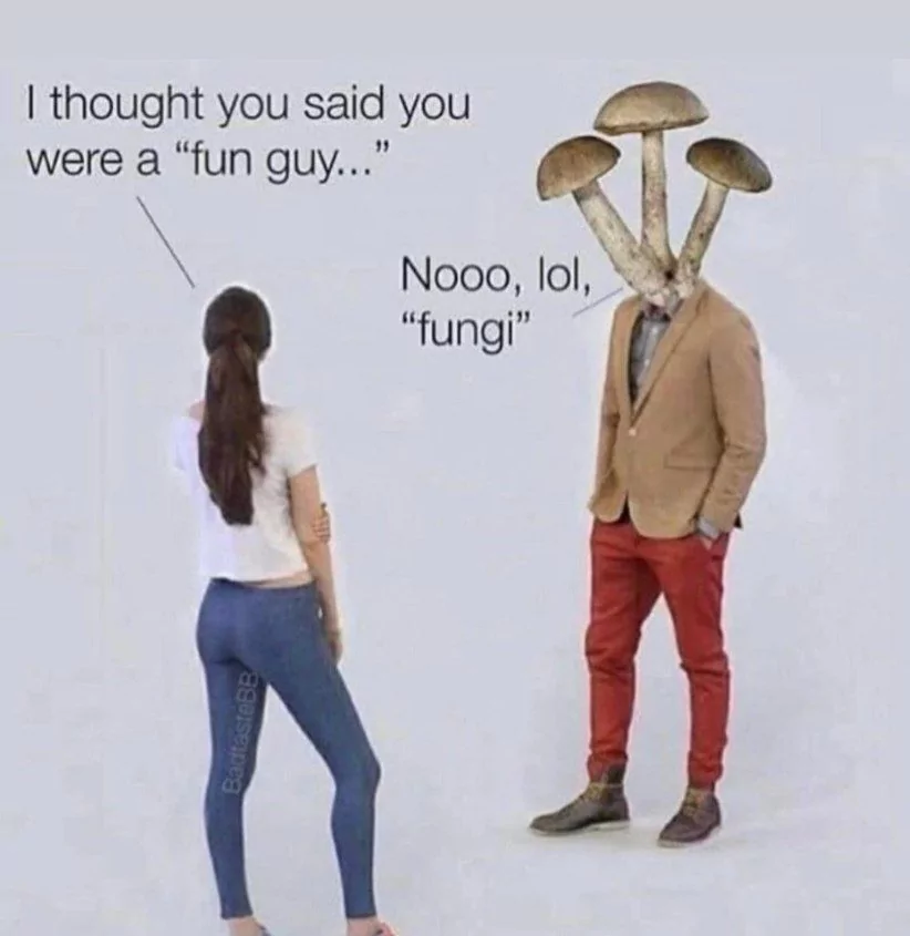 fun guy memes