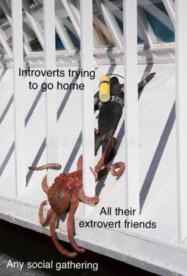 20 Memes That Show What Happens When An Extrovert Meets An Introvert 9 Introverts trying to go home
