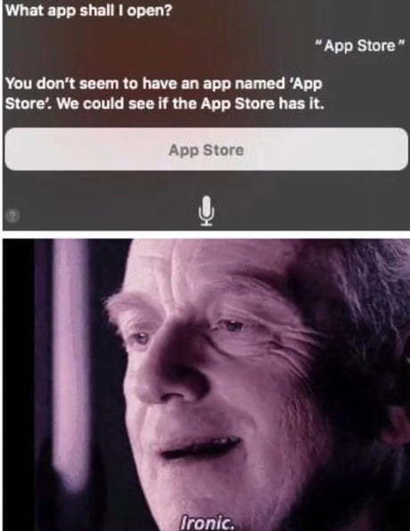 27 Hey Siri Memes That Will Make You Wish You Had A Personal Assistant 9 Ironic - hey siri memes