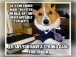 Its a strong case of fraud - FG
