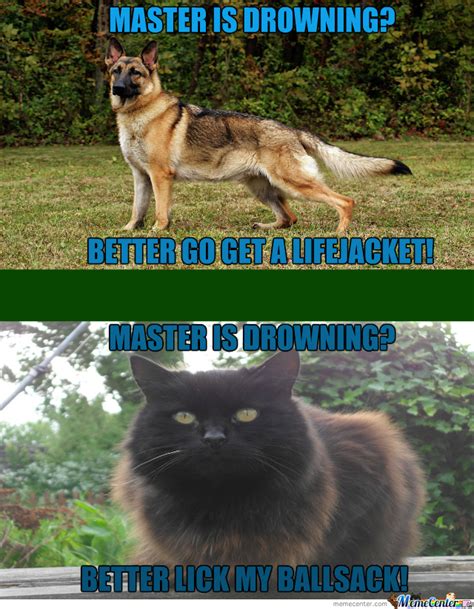 18 Dog vs Cat Memes That Will Make You Laugh & Pick a Side 8 Master is drowning - dog vs cat memes