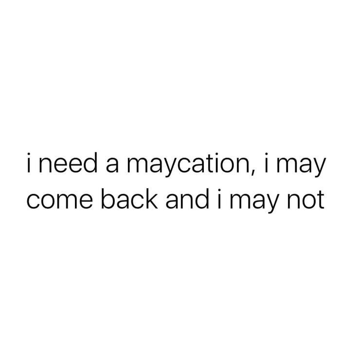 Maycation Is All We Need 1 we need mayaction meme
