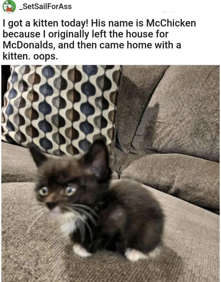 McKittens meme