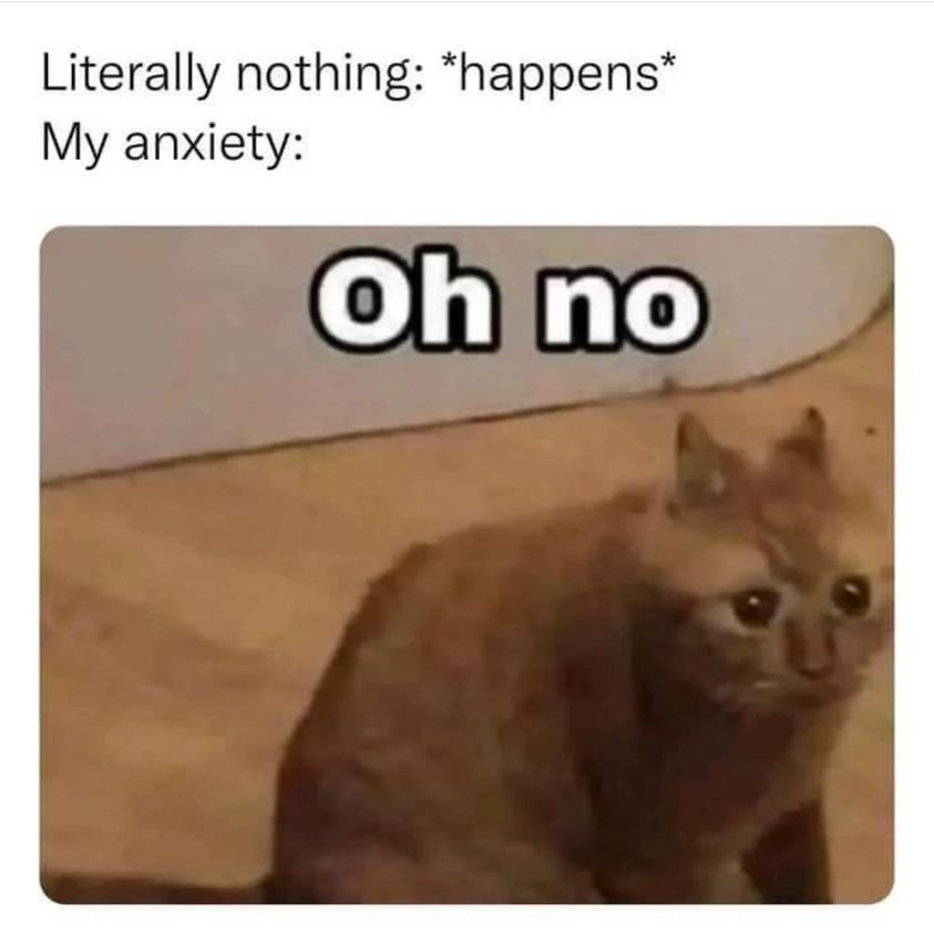 Meanwhile My Anxiety… - Animals