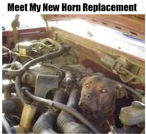Meet My New Horn Replacement 1 horn memes